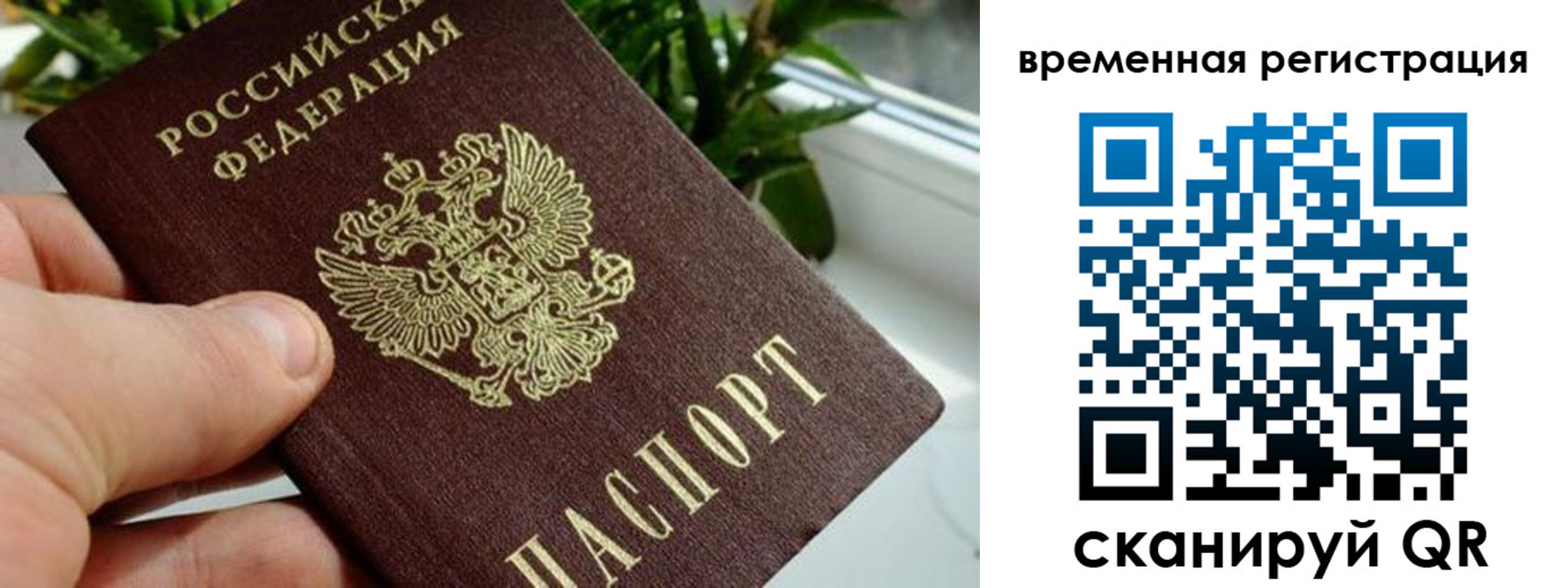 прописка поиск в Волжске